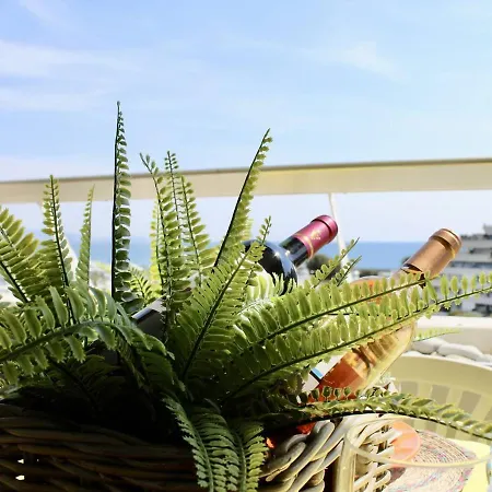 Apartment 2 Pieces Avec Climatisation, 4 Couchages, A 100m De La - Fr-1-252a-33 Villeneuve-Loubet